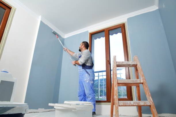 Best Basement Mold Removal  in Cambridge, NE