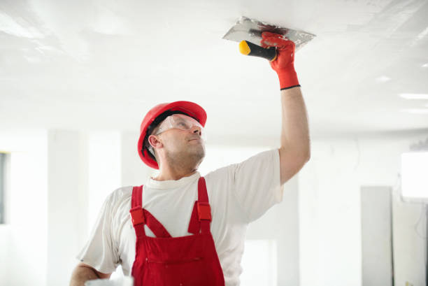 Best Mold Remediation for Healthcare Facilities  in Cambridge, NE