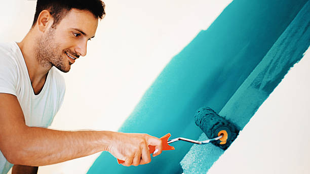 Best Black Mold Removal  in Cambridge, NE